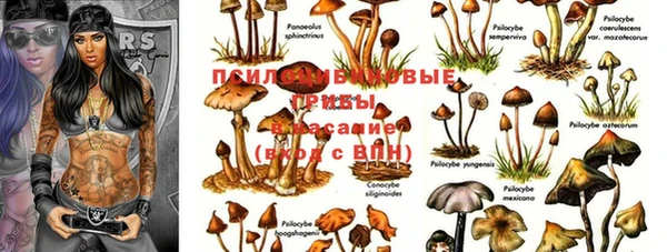 Альфа ПВП Абинск